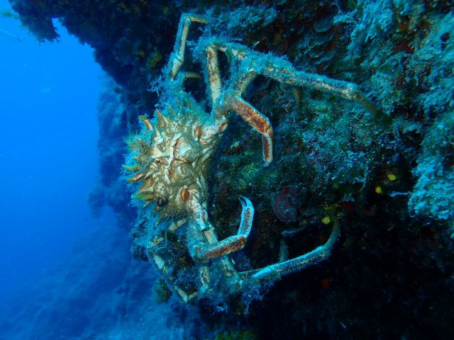 foto 17.06.19 21 32 34